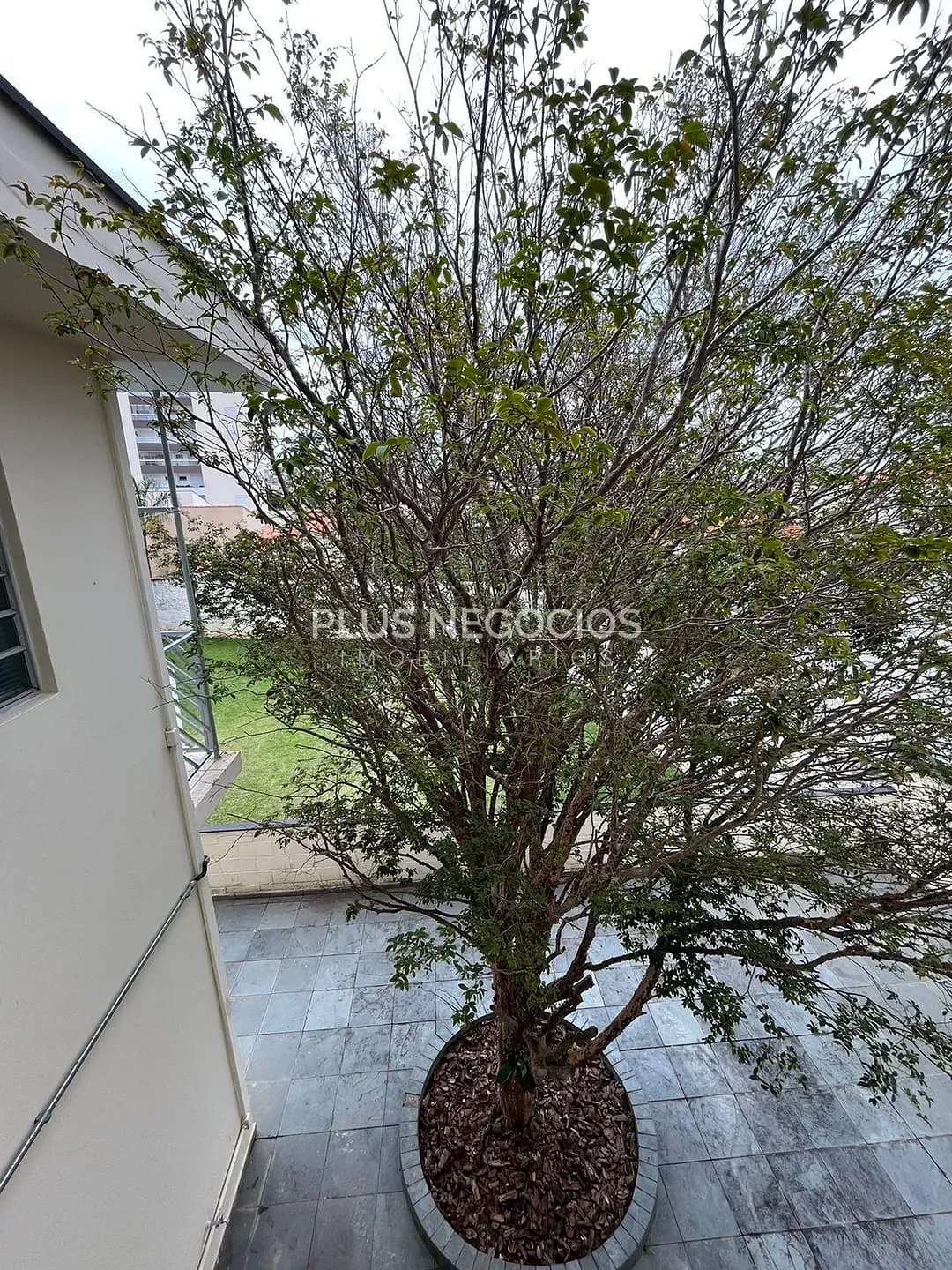 Casa, 4 quartos, 430 m² - Foto 25