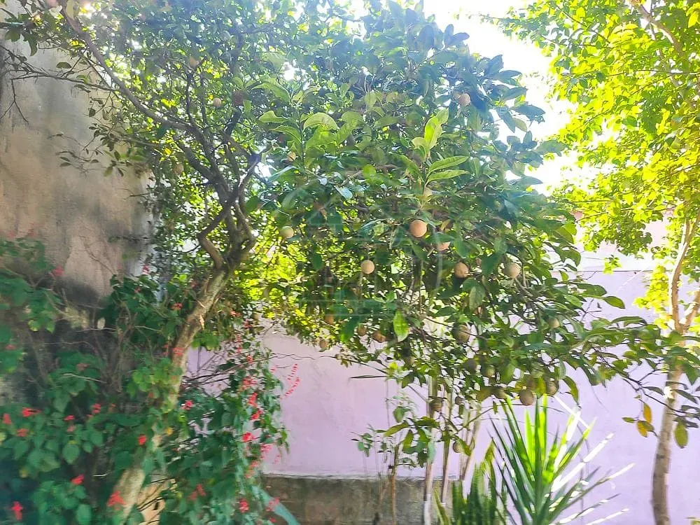 Casa, 3 quartos, 153 m² - Foto 6
