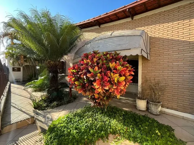 Casa com 330m² 4 quartos e 1 banheiro, à venda ou para alugar, no bairro Vila Resende em Caçapava