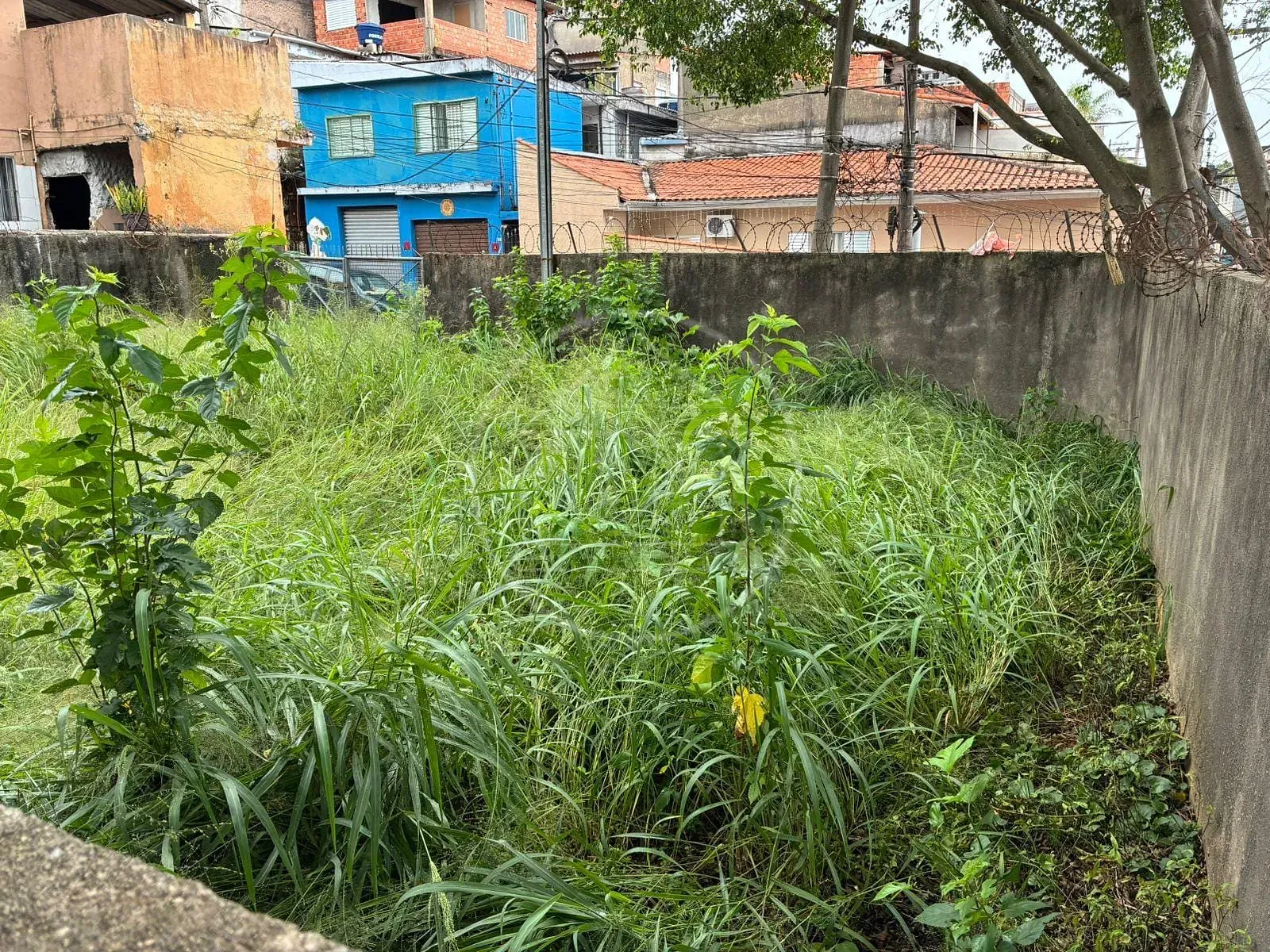Terreno, 240 m² - Foto 7