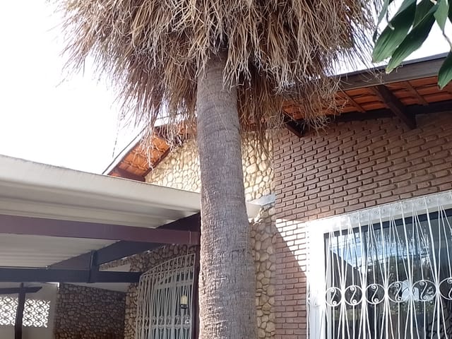 Foto do Casa - Casa à venda 3 Quartos, 1 Suite, 3 Vagas, 220M², Parque Residencial Bom Conselho, Taubaté - SP | Palacete Imobiliária