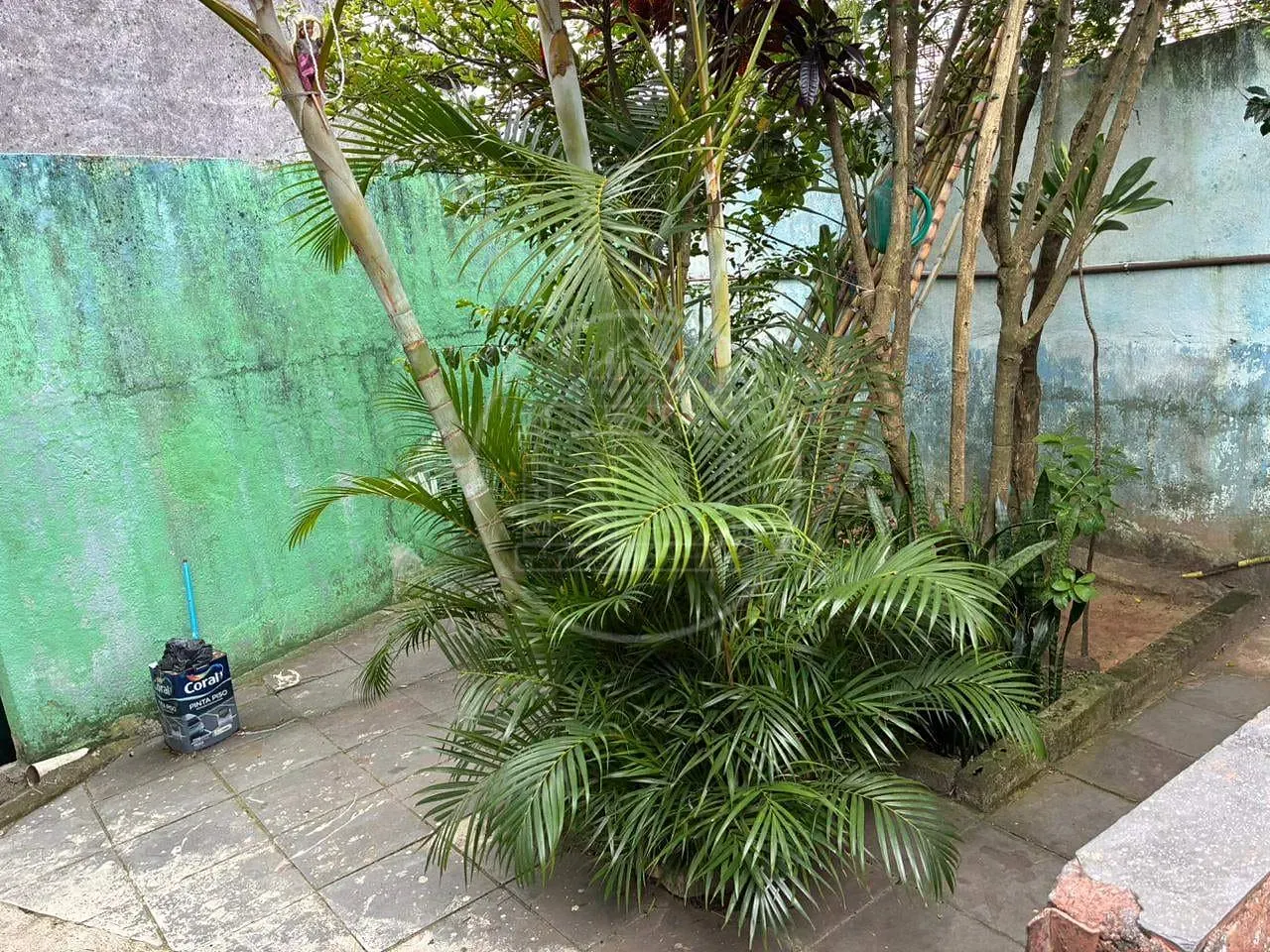 Casa, 3 quartos, 288 m² - Foto 32