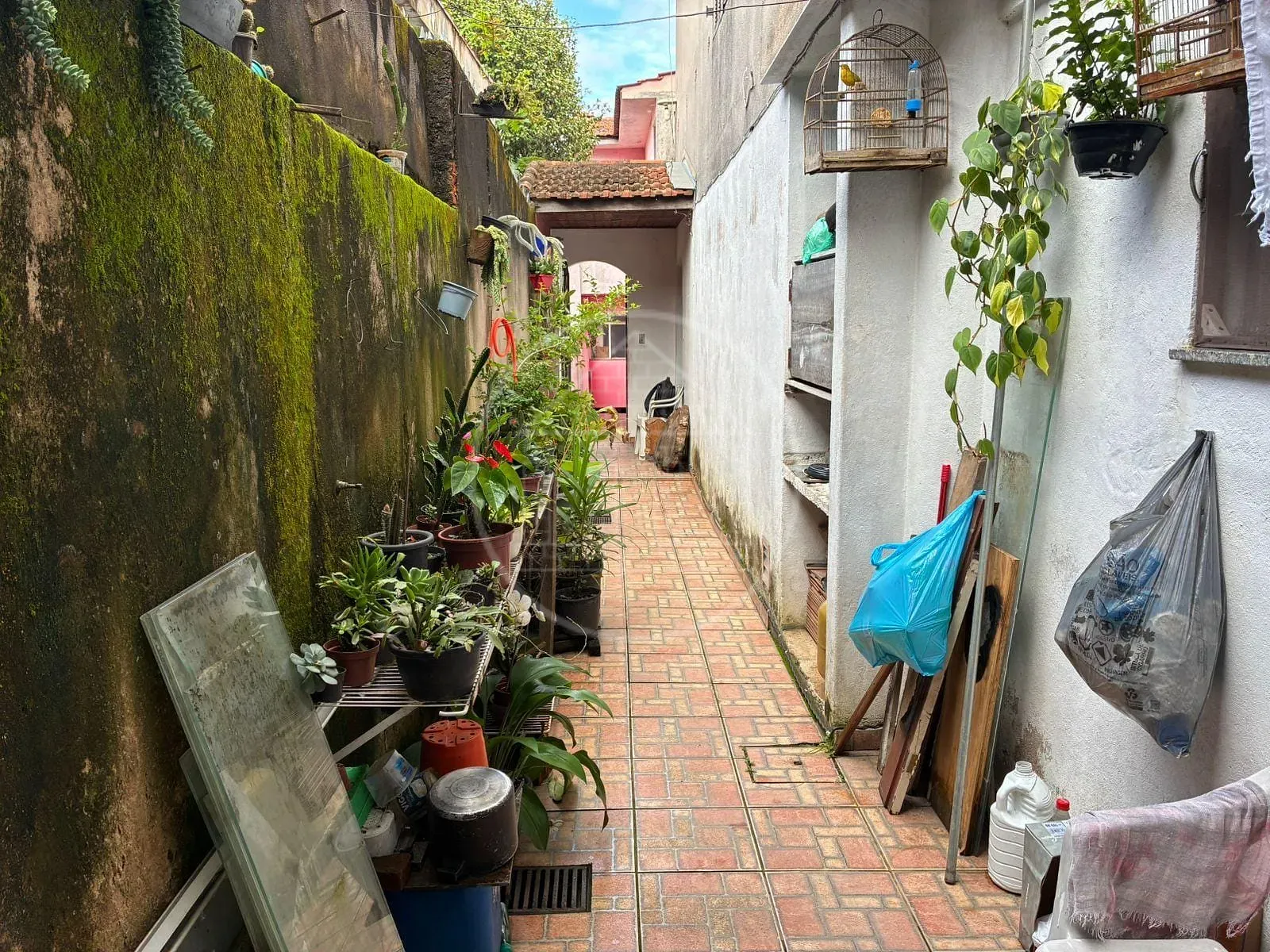 Casa, 3 quartos, 260 m² - Foto 18