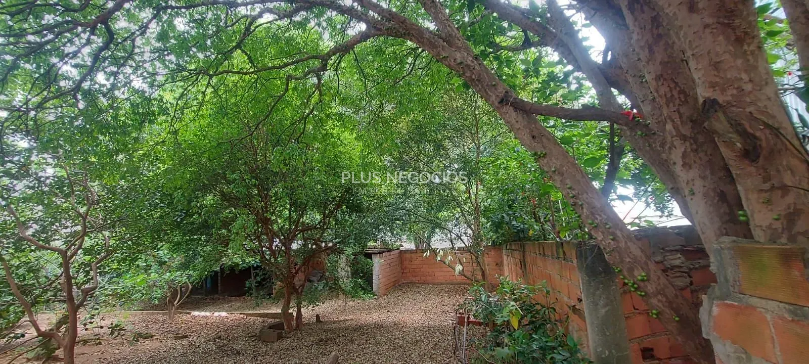 Casa, 4 quartos, 297 m² - Foto 5