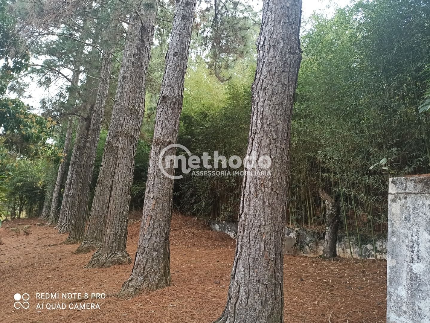 Casa, 4 quartos, 185 m² - Foto 21