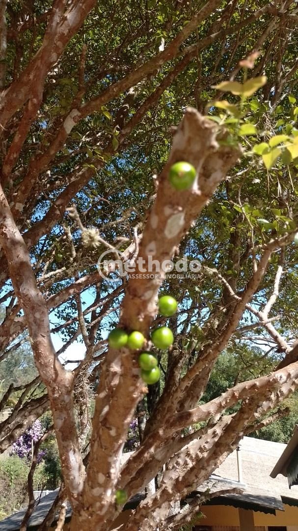 Casa, 4 quartos, 185 m² - Foto 31