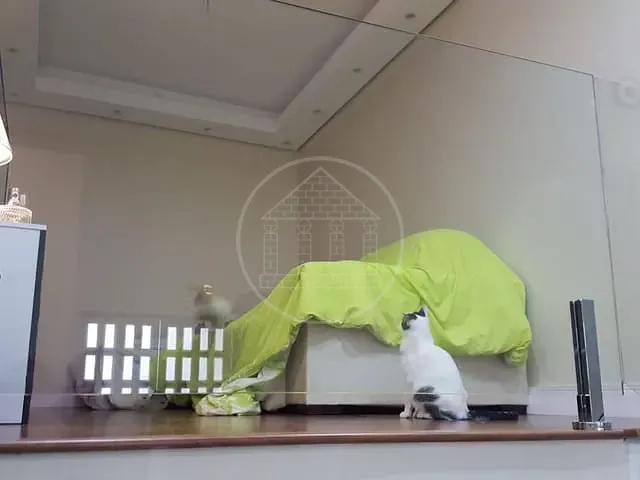 Casa com 125m² 2 quartos e 1 banheiro, para alugar, no bairro Jardim Icaraí em São Paulo