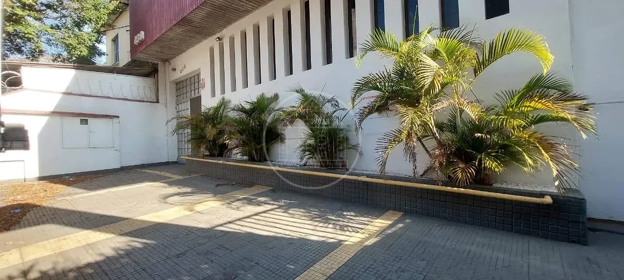 Prédio Inteiro, 700 m² - Foto 4