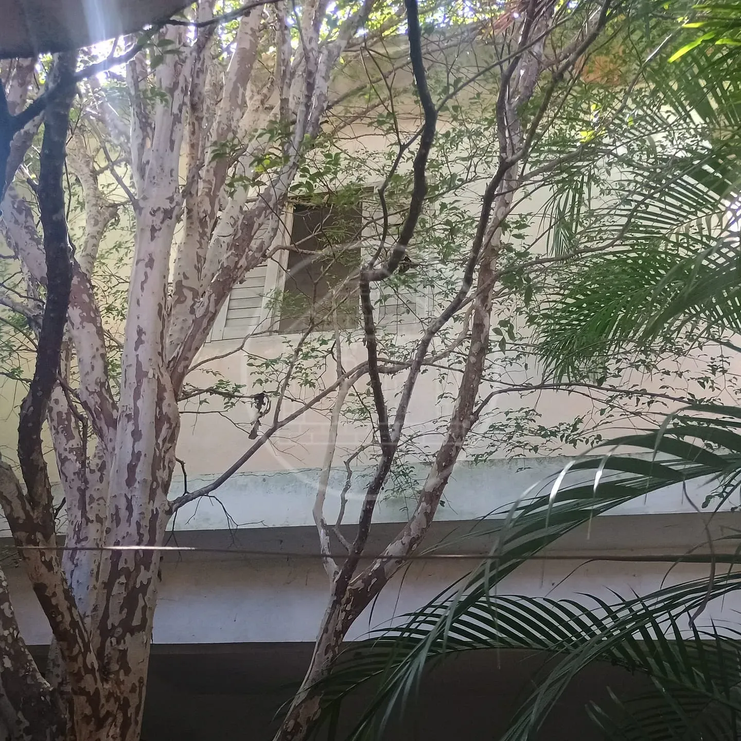Casa, 2 quartos, 85 m² - Foto 15