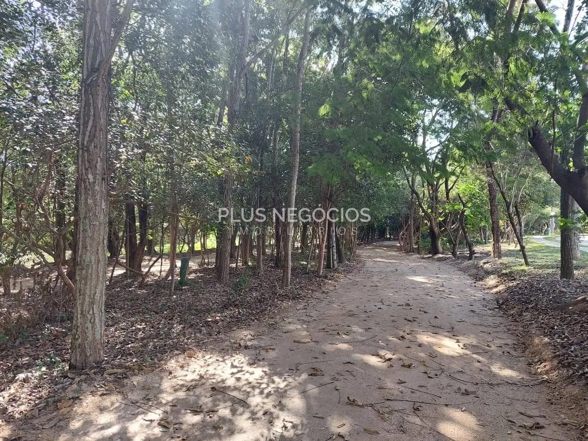Casa, 4 quartos, 429 m² - Foto 31