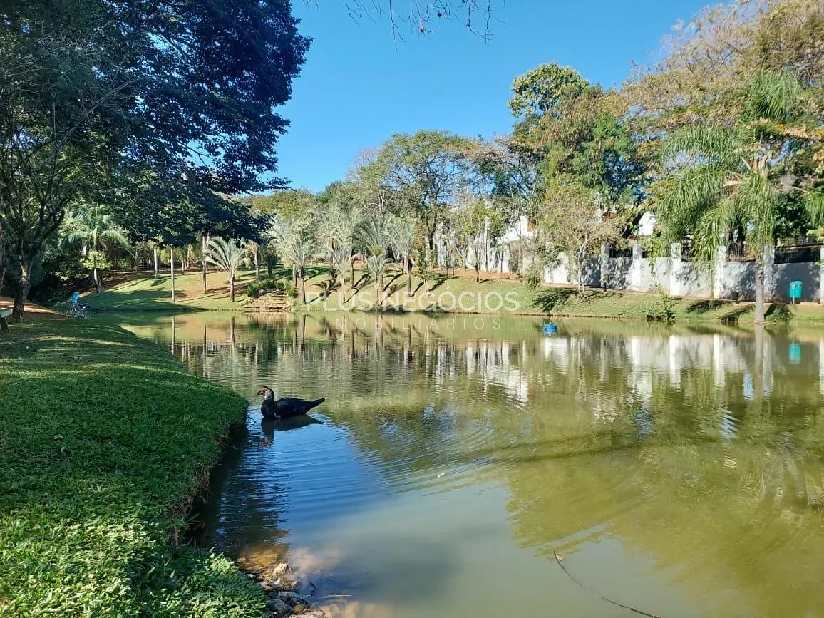 Casa, 4 quartos, 429 m² - Foto 15