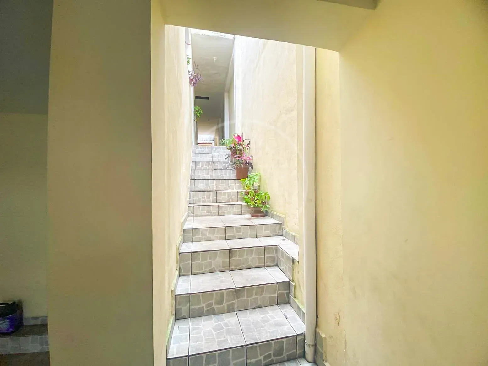 Casa, 3 quartos, 165 m² - Foto 5