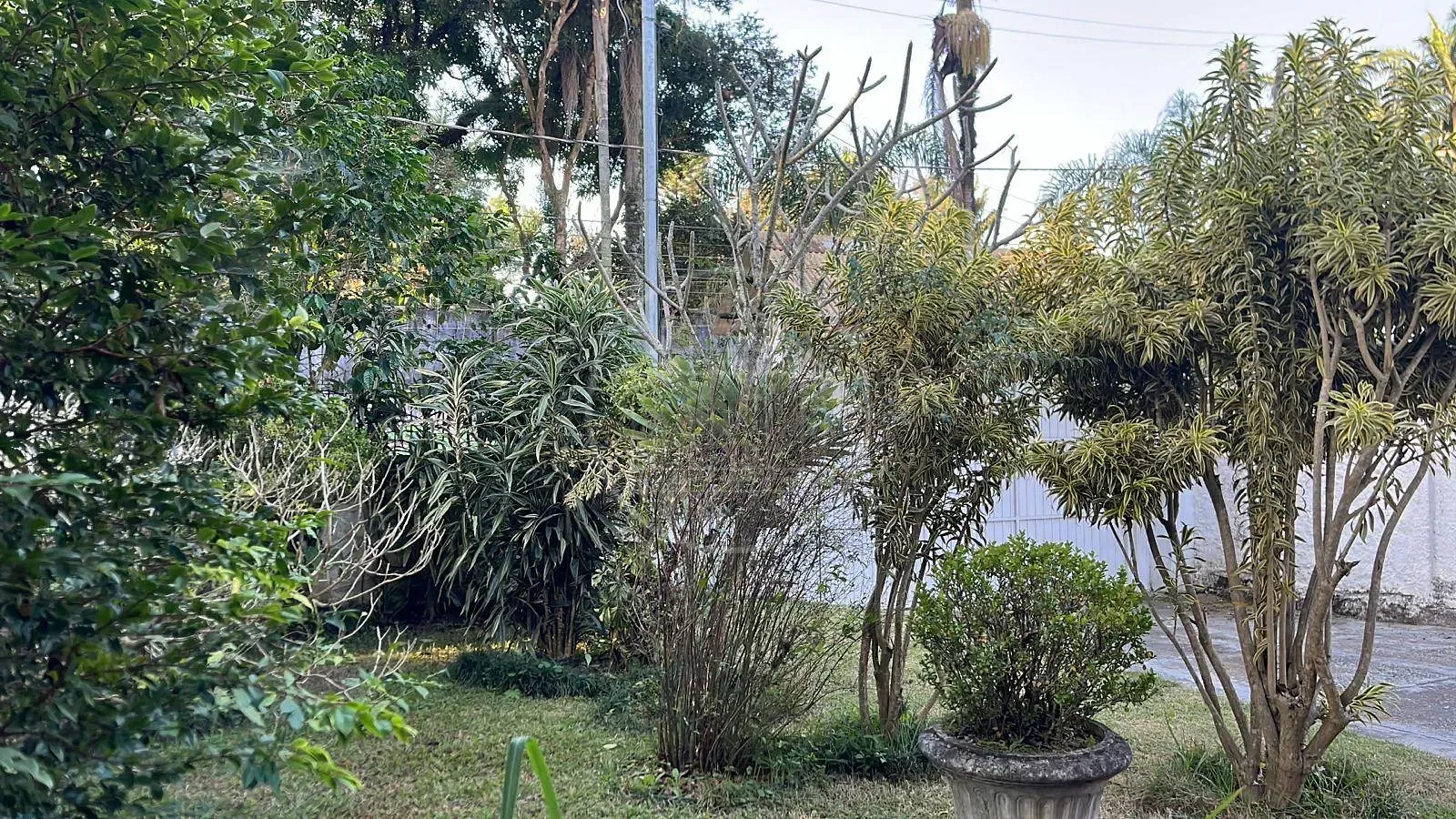 Casa, 8 quartos, 376 m² - Foto 5
