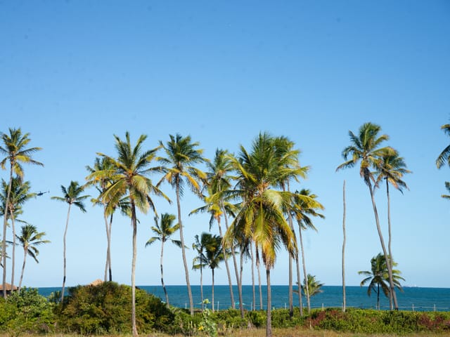 Foto do Casa - Casa no condomínio Praia Bella para venda com 6 quartos, sendo 6 suítes, 500m² | Lares e Andares Imóveis