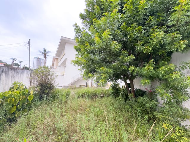 Casa com 400m² 3 quartos e 2 banheiros, à venda, no bairro Vila Marari em São Paulo
