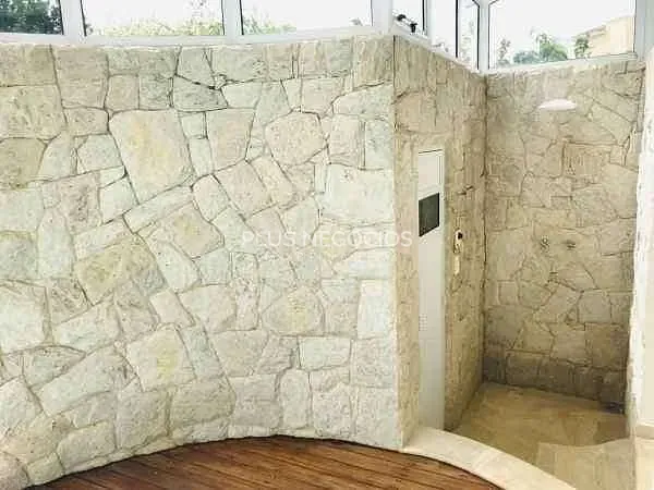 Casa, 4 quartos, 368 m² - Foto 33