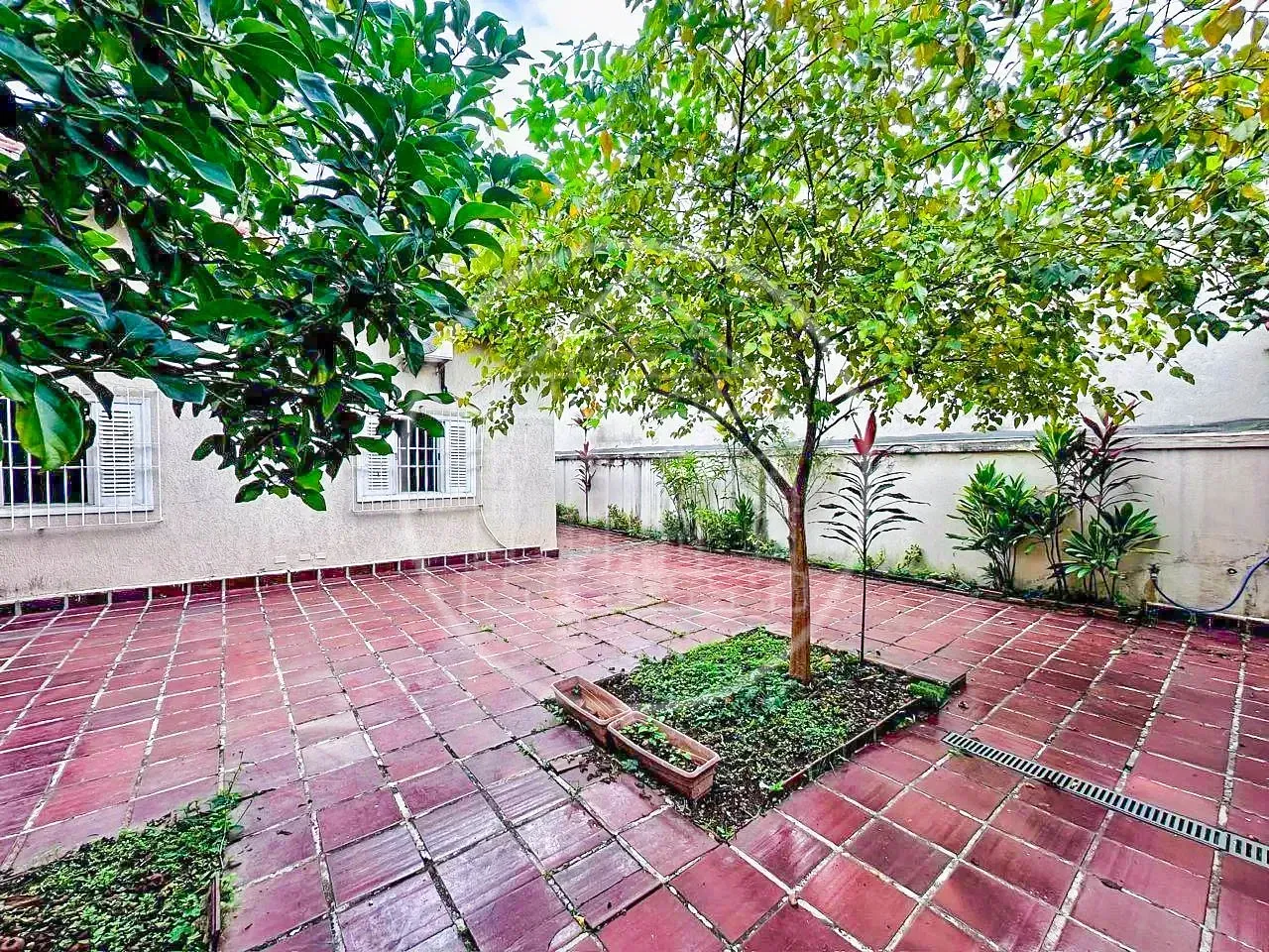 Casa, 3 quartos, 240 m² - Foto 22