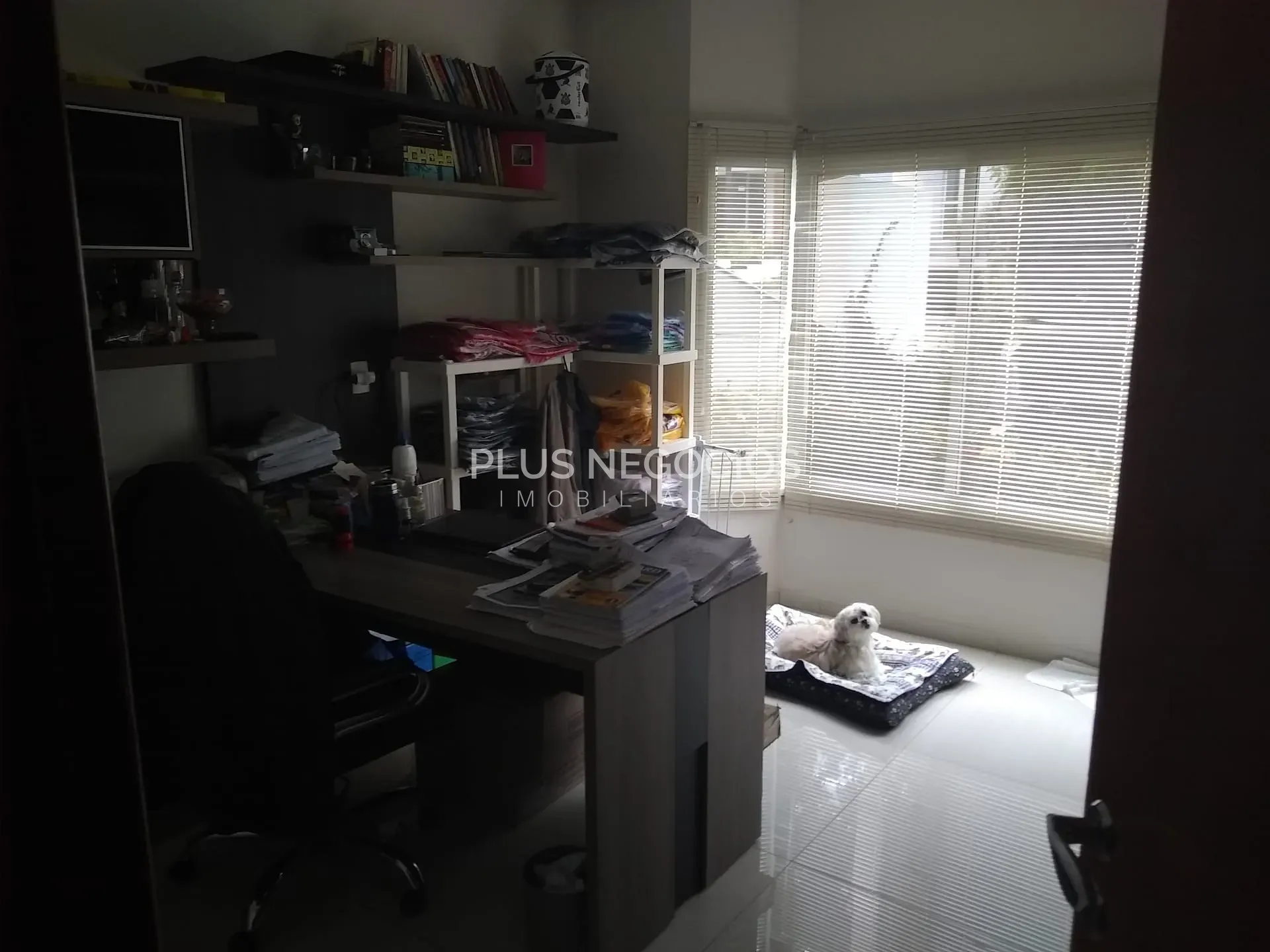 Casa, 4 quartos, 372 m² - Foto 20