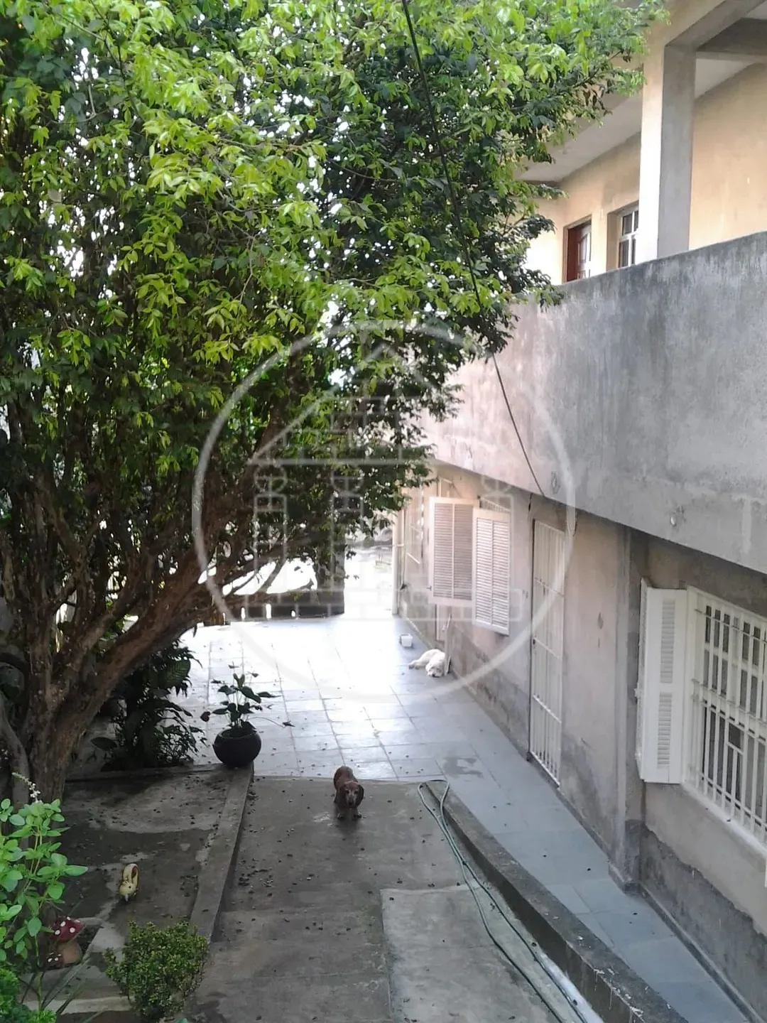 Casa, 3 quartos, 110 m² - Foto 1