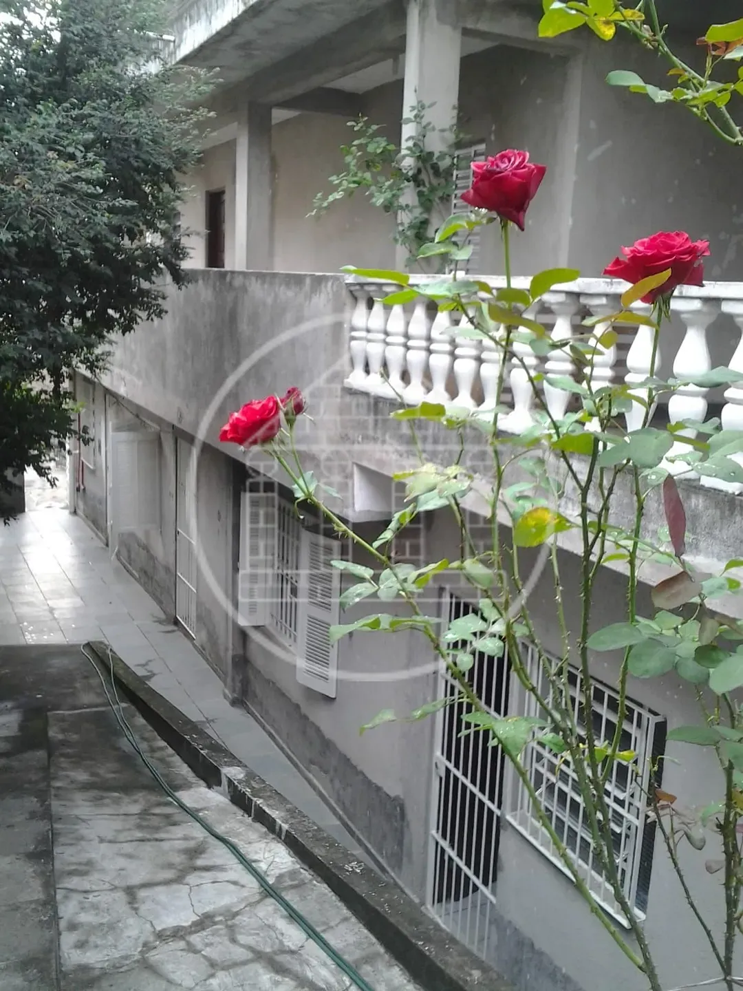 Casa, 3 quartos, 110 m² - Foto 3