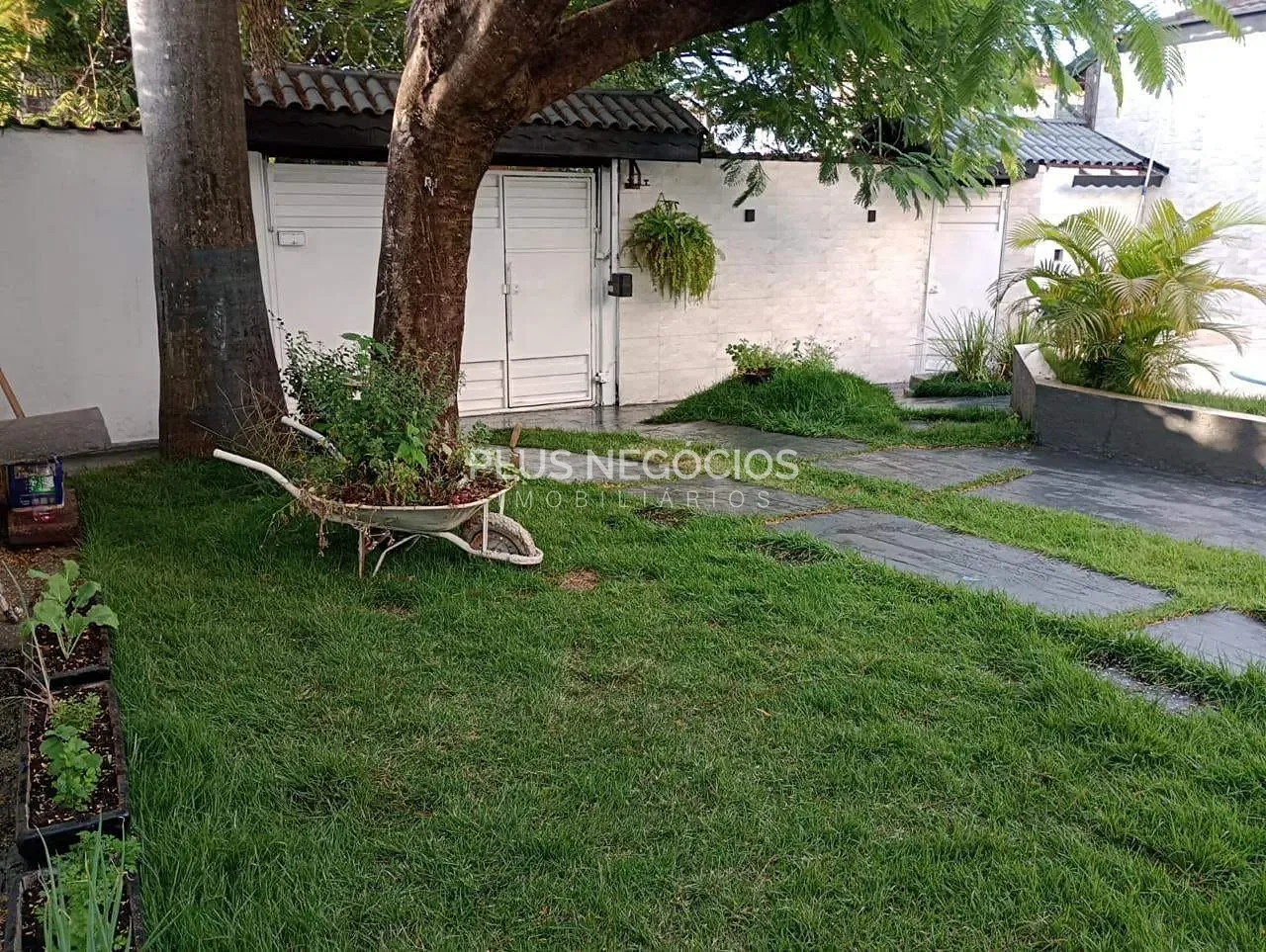 Casa, 3 quartos, 300 m² - Foto 33