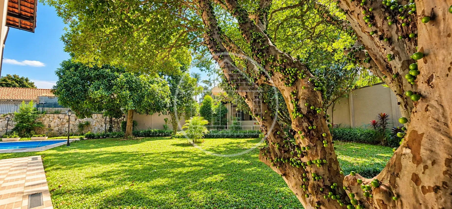 Casa, 5 quartos, 960 m² - Foto 35