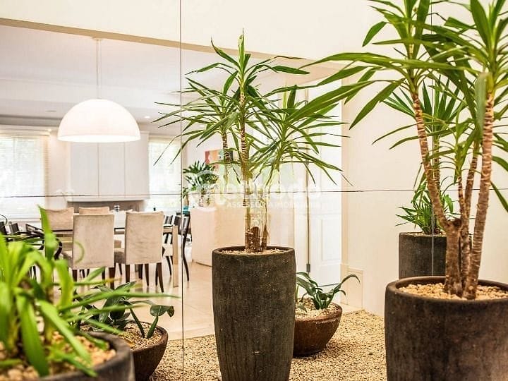 Casa, 4 quartos, 603 m² - Foto 6