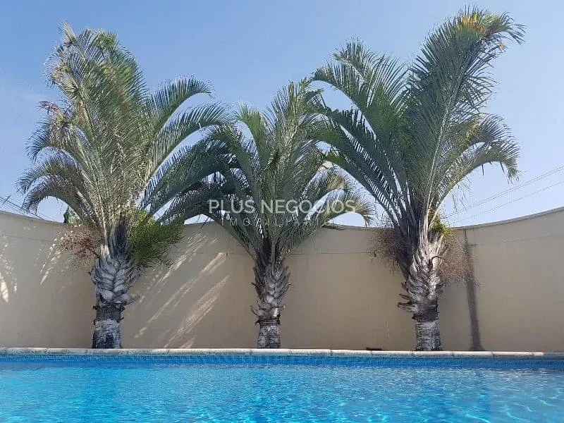 Casa, 3 quartos, 147 m² - Foto 34