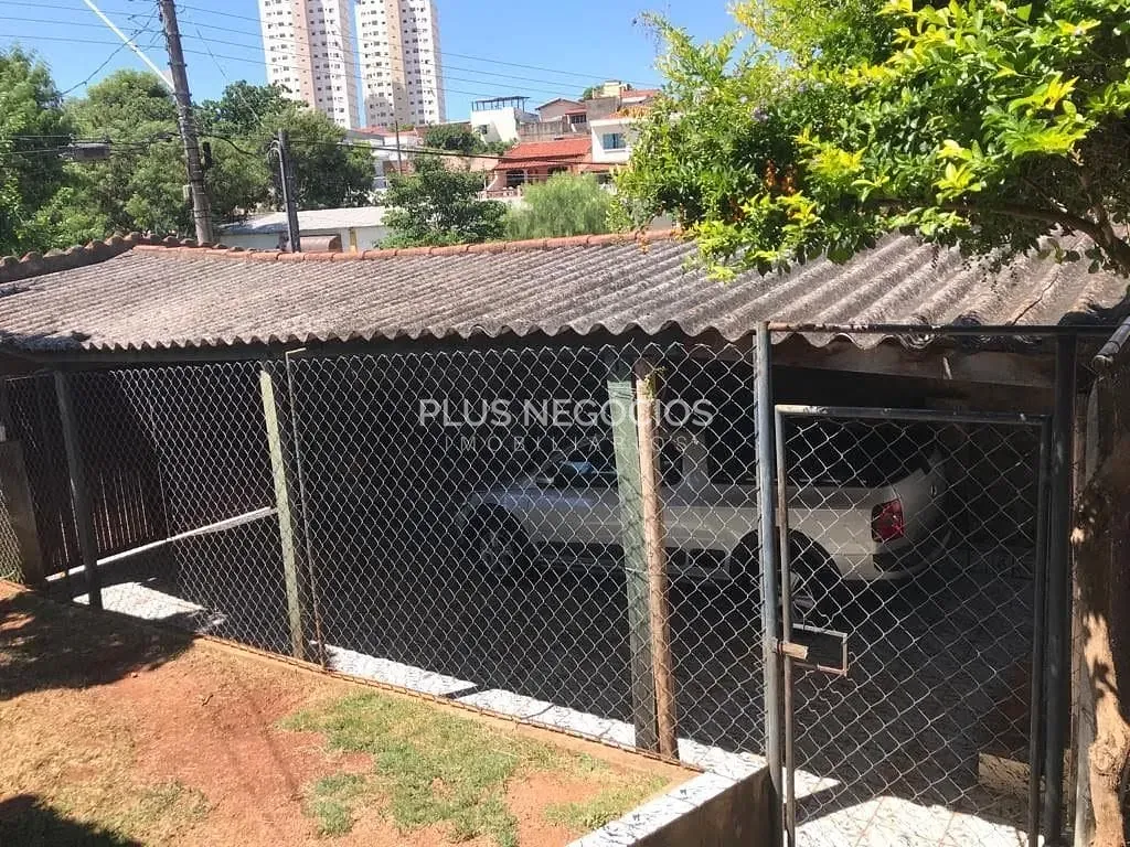 Casa, 4 quartos, 342 m² - Foto 22