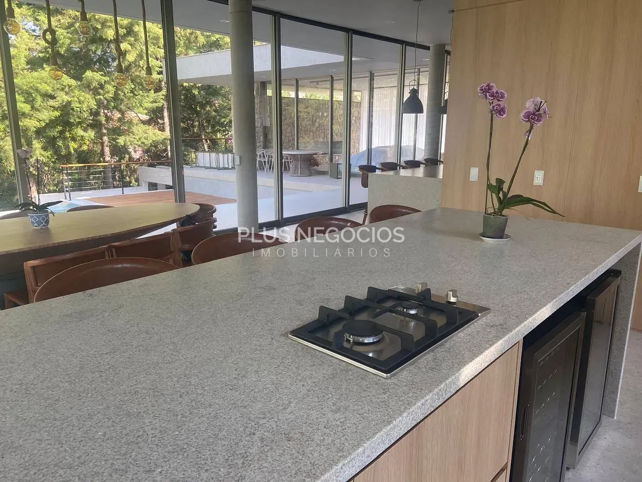 Casa, 5 quartos, 704 m² - Foto 11