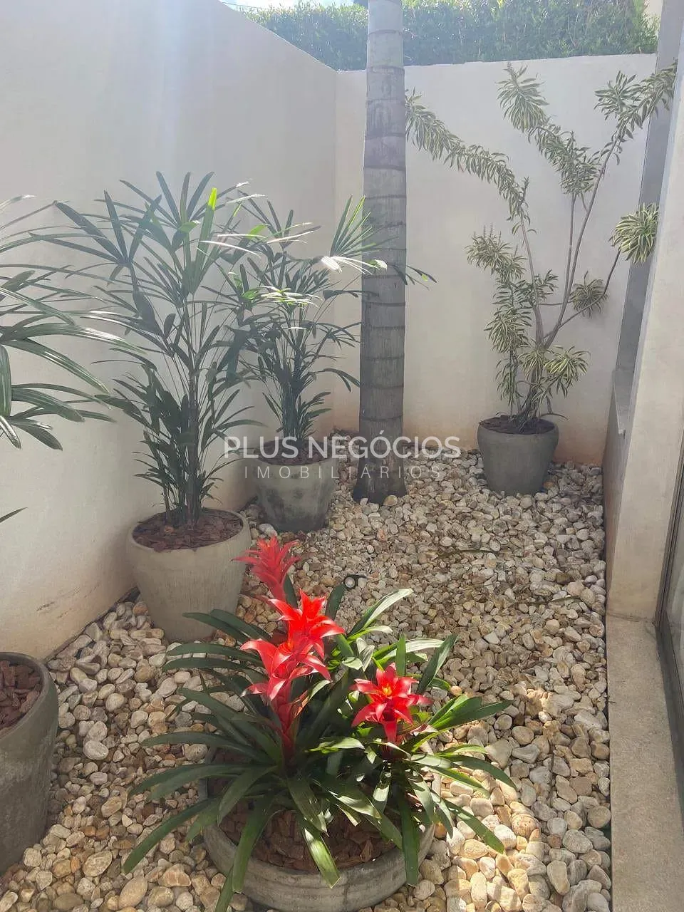 Casa, 5 quartos, 704 m² - Foto 26