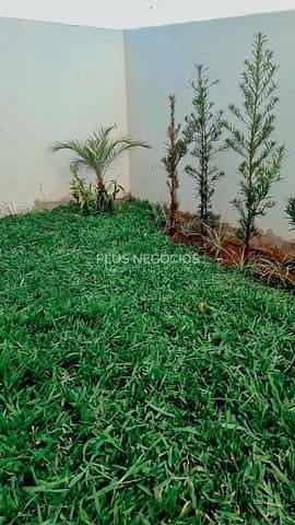 Casa, 4 quartos, 450 m² - Foto 2