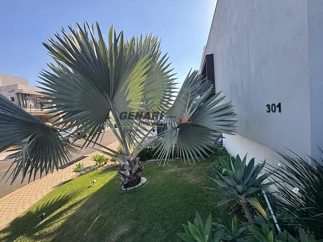 Casa com 392m² 3 quartos e 5 banheiros, à venda, no bairro Jardim Residencial Dona Maria José em Indaiatuba