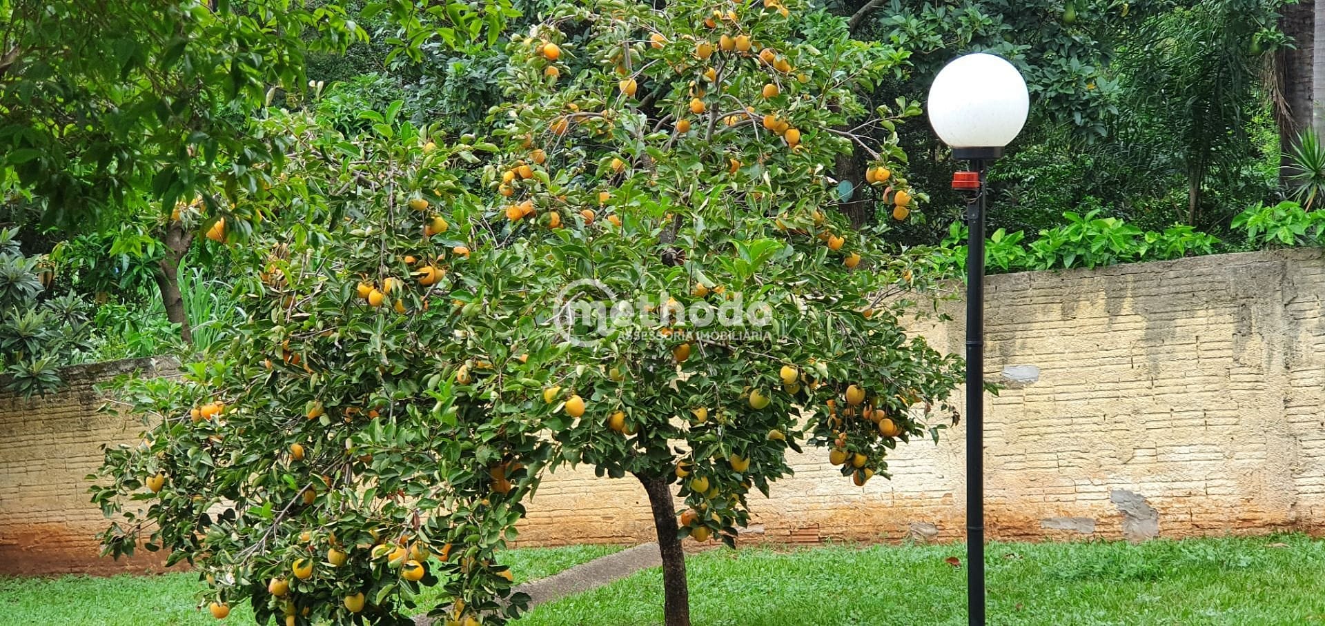 Casa, 4 quartos, 400 m² - Foto 23