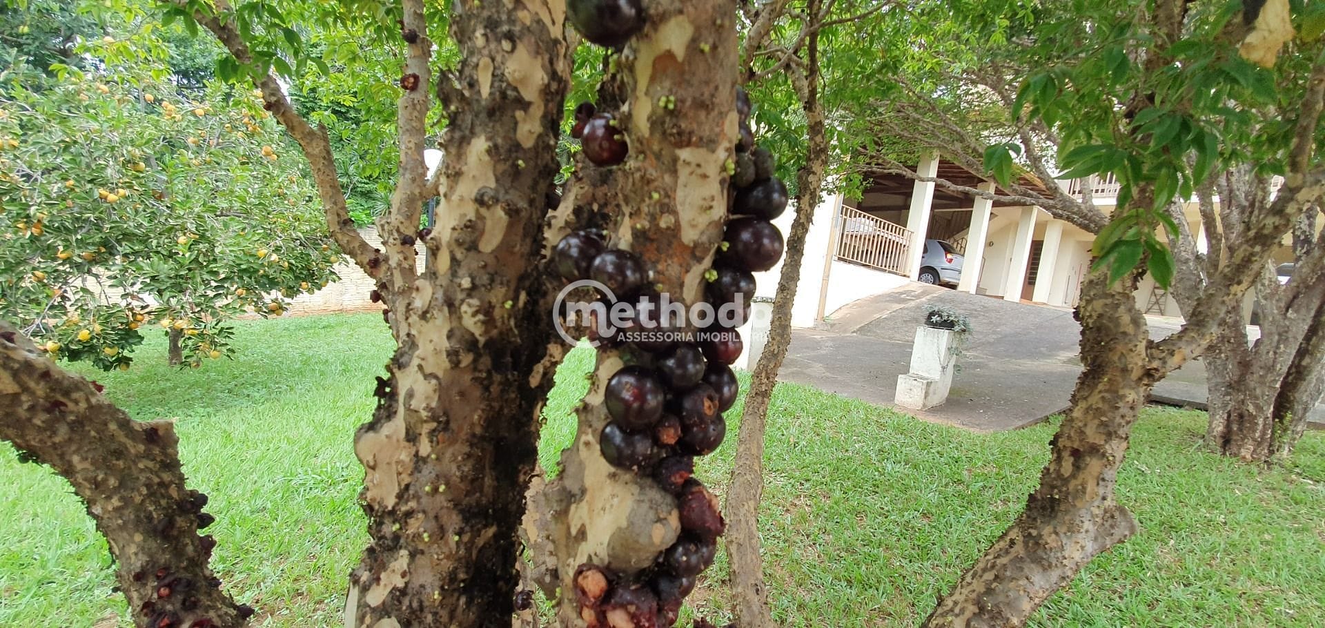 Casa, 4 quartos, 400 m² - Foto 22