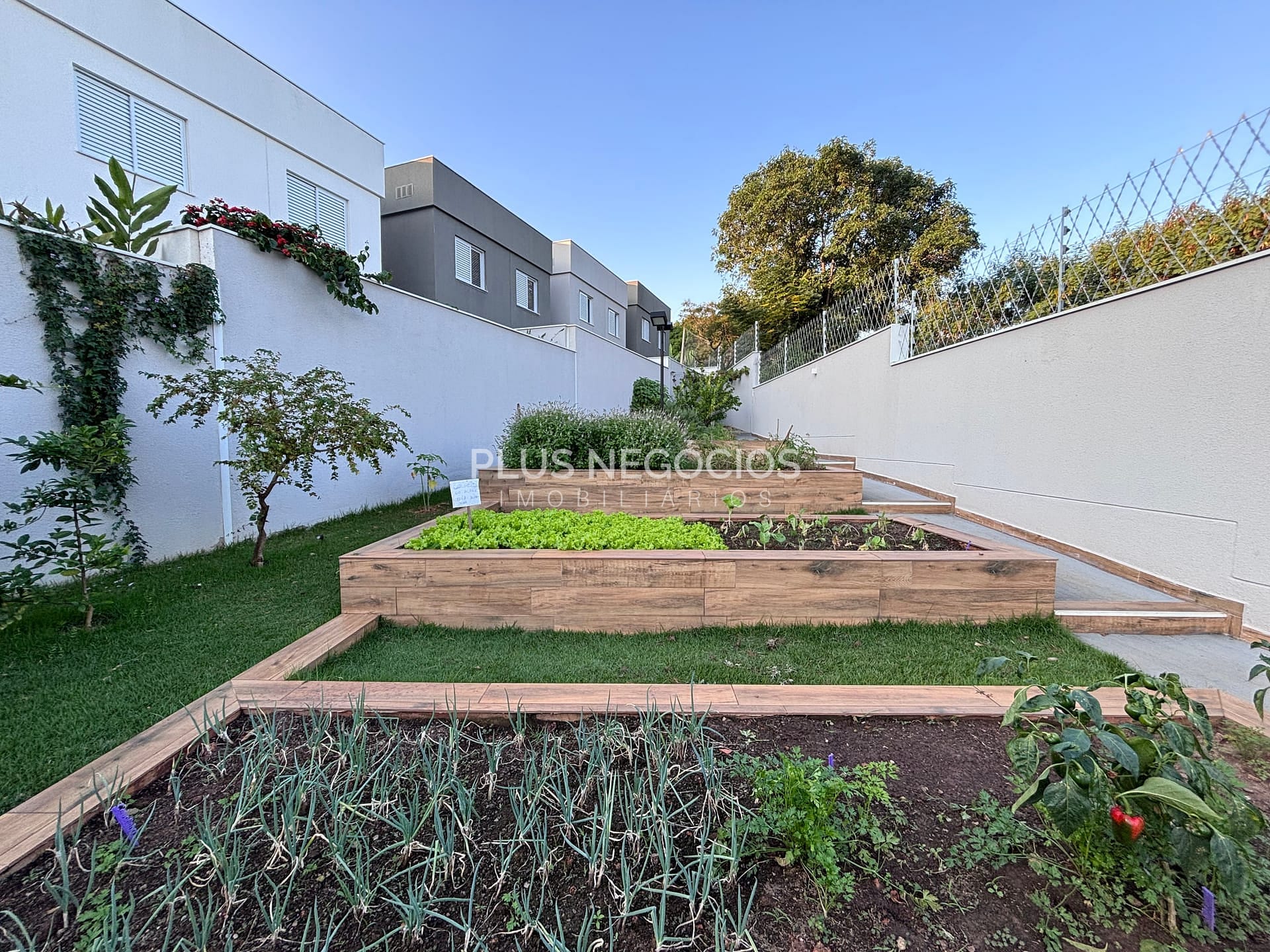 Casa à venda com 3 quartos, 155m² - Foto 59