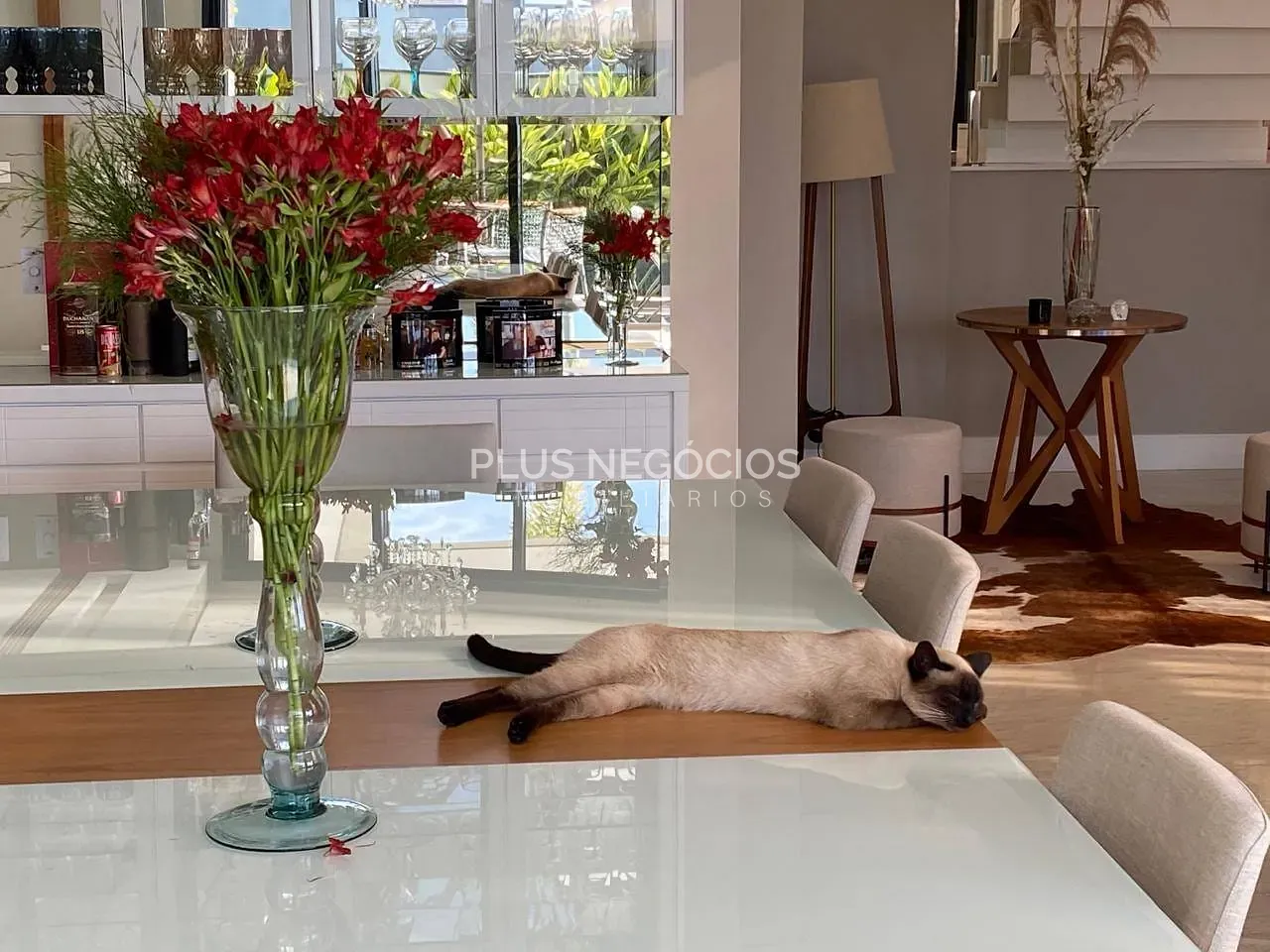 Casa, 4 quartos, 435 m² - Foto 3