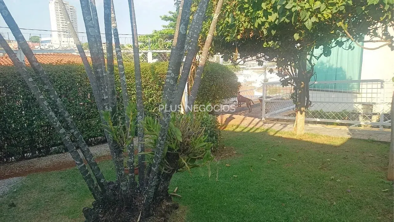 Casa, 1 quarto, 559 m² - Foto 4