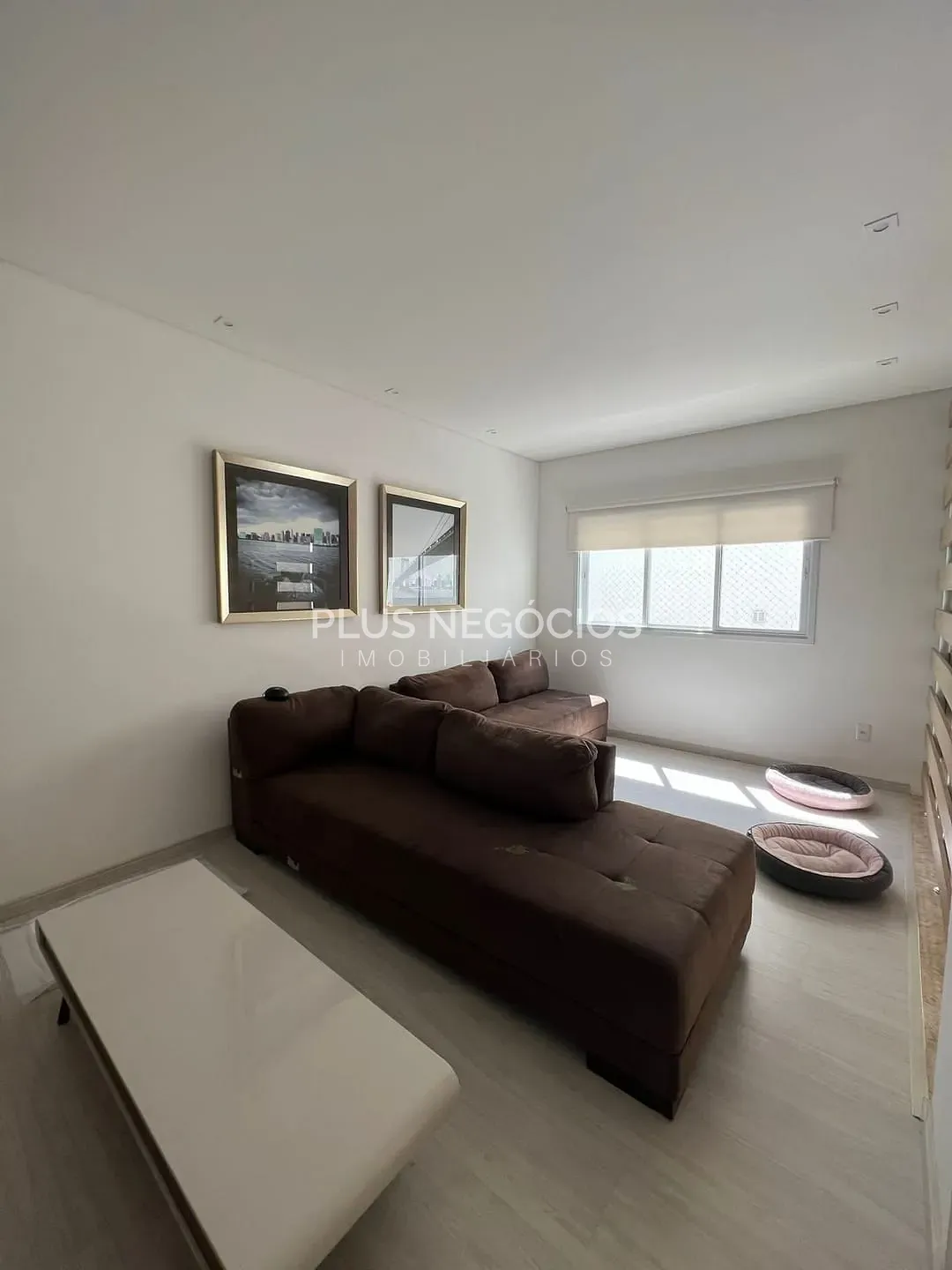 Casa, 5 quartos, 370 m² - Foto 8