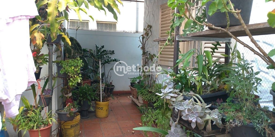 Casa, 3 quartos, 263 m² - Foto 18