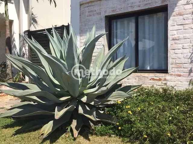 Casa com 360m² 4 quartos e 5 banheiros, à venda, no bairro Chácara Santa Margarida em Campinas