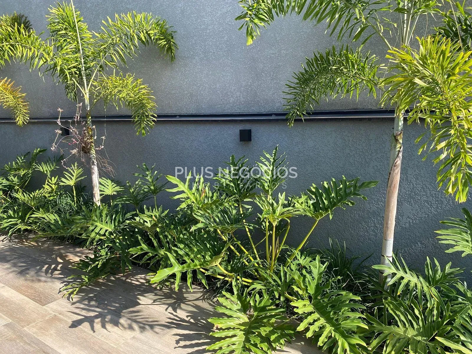 Casa, 3 quartos, 330 m² - Foto 39