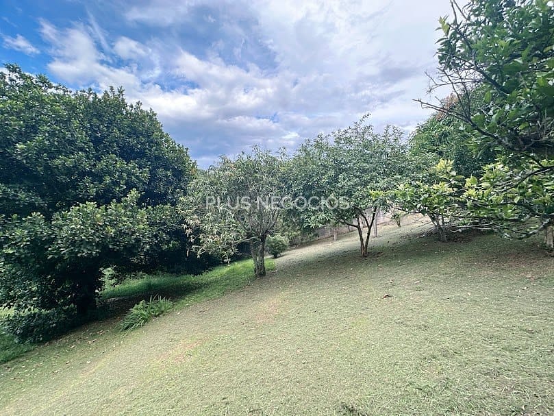 Casa, 5 quartos, 240 m² - Foto 13