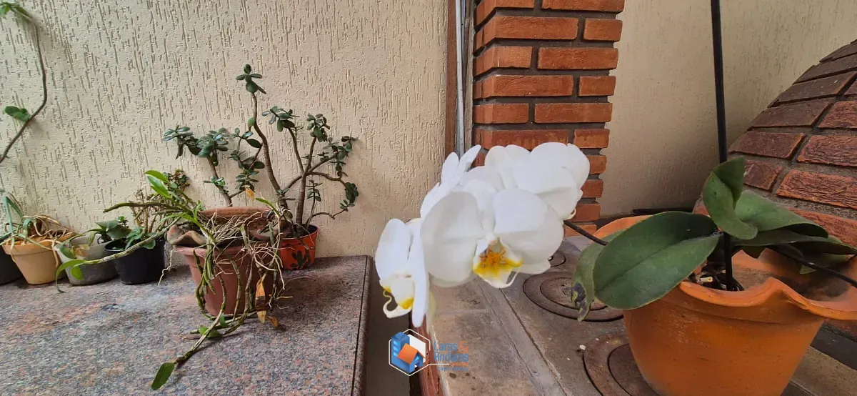 Casa, 4 quartos, 297 m² - Foto 12