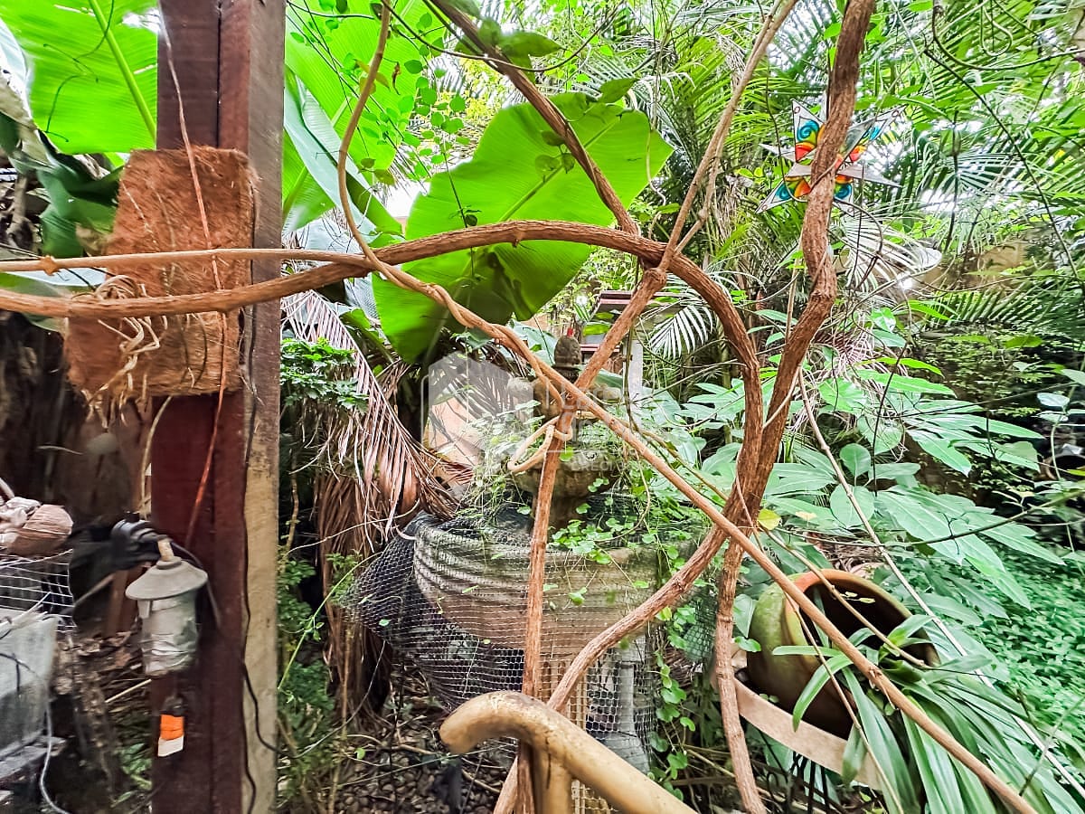 Casa, 4 quartos, 196 m² - Foto 43