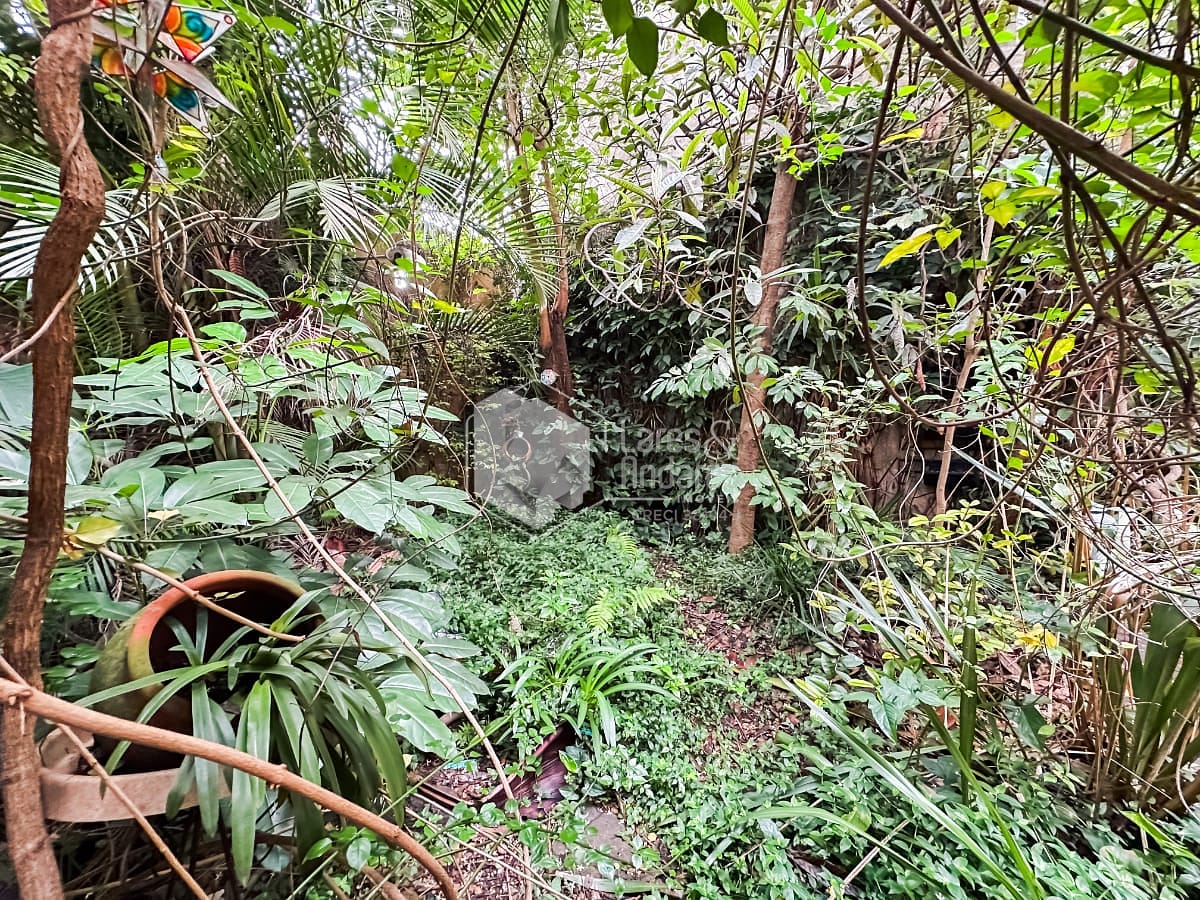 Casa, 4 quartos, 196 m² - Foto 42