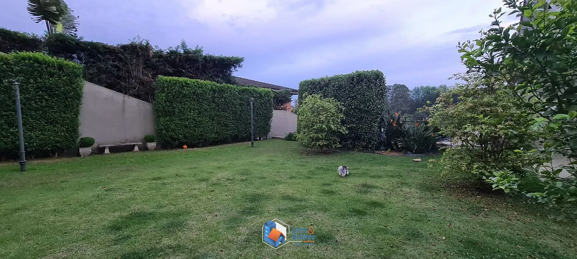 Casa, 3 quartos, 900 m² - Foto 47