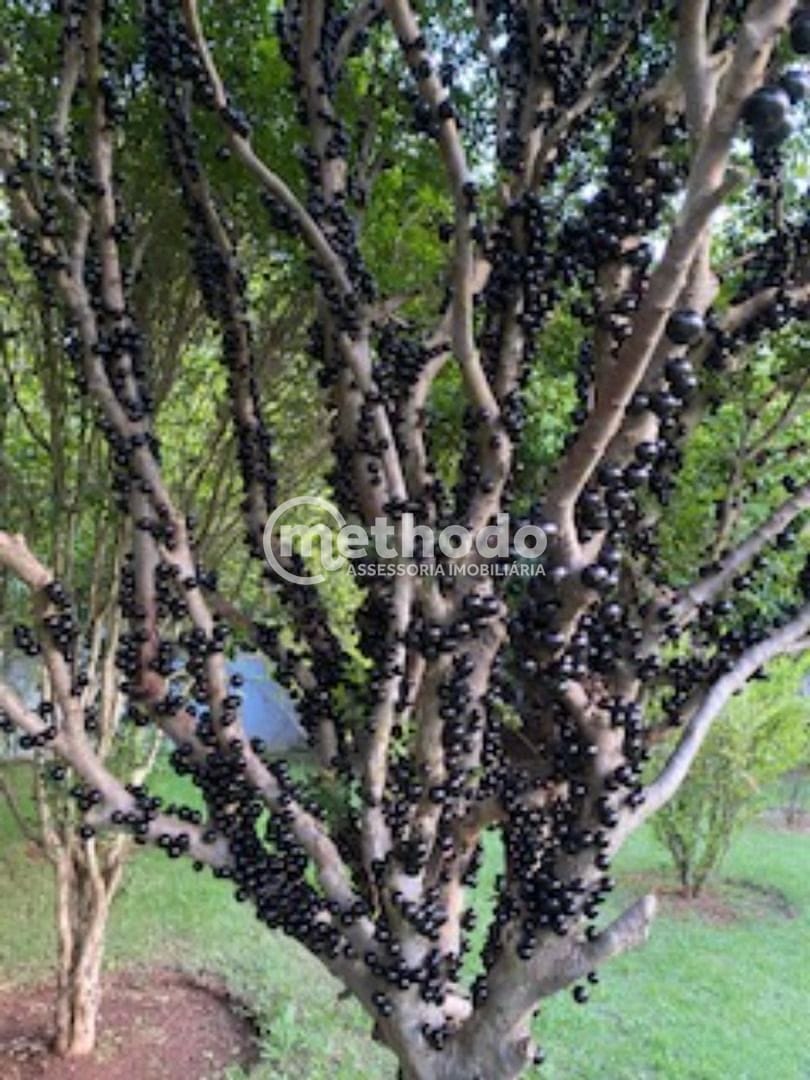 Casa, 4 quartos, 800 m² - Foto 21