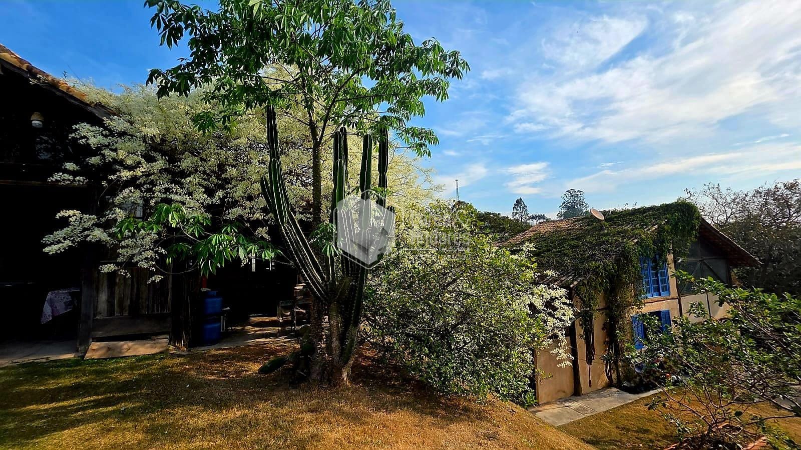 Casa, 3 quartos, 436 m² - Foto 39