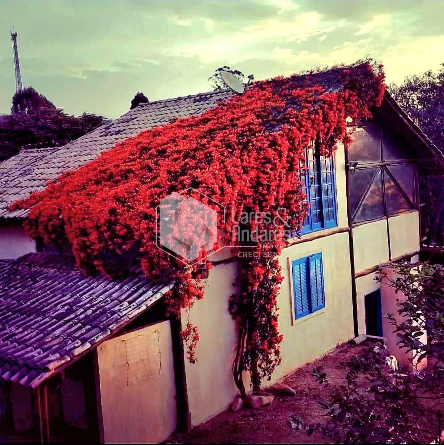 Casa, 3 quartos, 436 m² - Foto 40